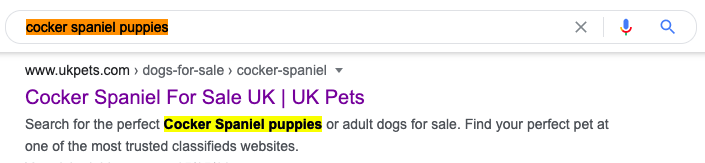 Search result for Cocker Spaniel puppies