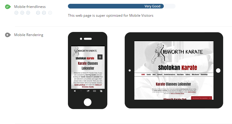 WooRank mobile SEO audit rendering