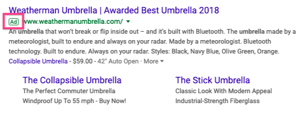 Google Ads result in SERP