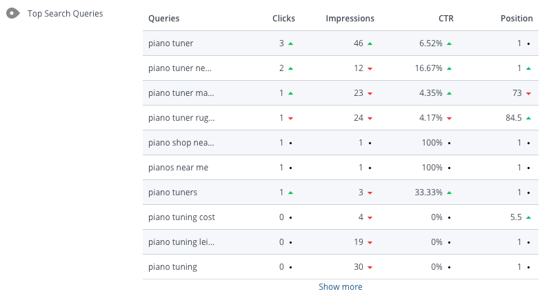 WooRank Project tracking top search queries